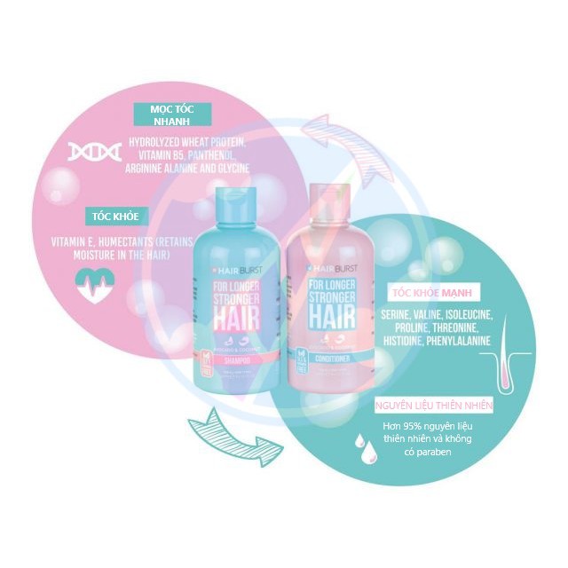 Bộ Gội Xả HairBurst 350ml Kích Thích Mọc Tóc Chắc Khỏe