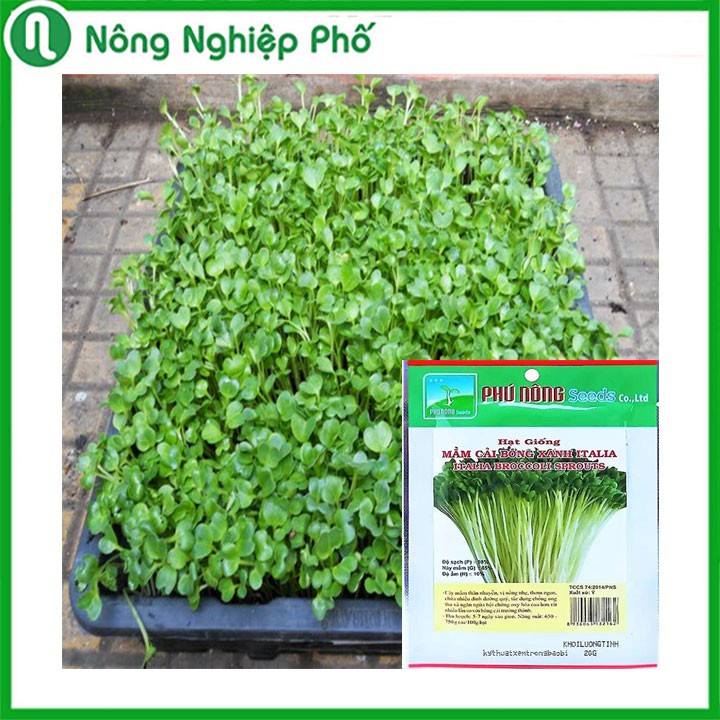 Hạt giống rau mầm cải bông xanh Italia Phú Nông - Gói 20 gram