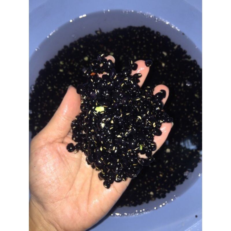 1kg Gạo lứt đỗ đen mix hoa nhà lá sen