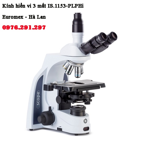 Kính hiển vi phản pha 3 mắt Euromex IS-1153 - PLPHi