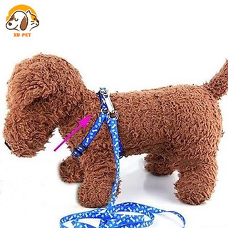 Dây Dắt Chó Mèo Đi Dạo