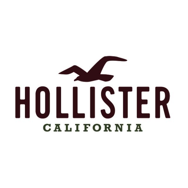Áo thun logo thêu Hollister