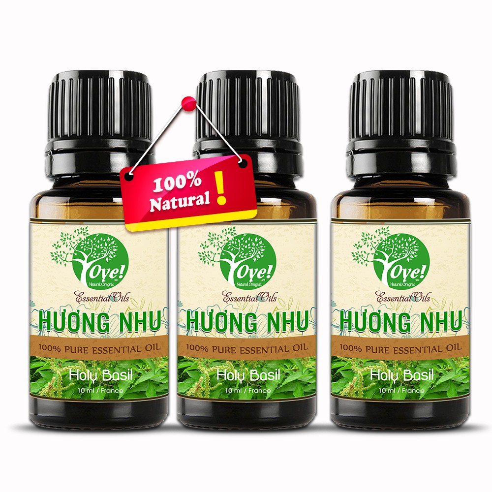 Tinh Dầu Hương Nhu Xông Phòng - Khử Mùi 100ml