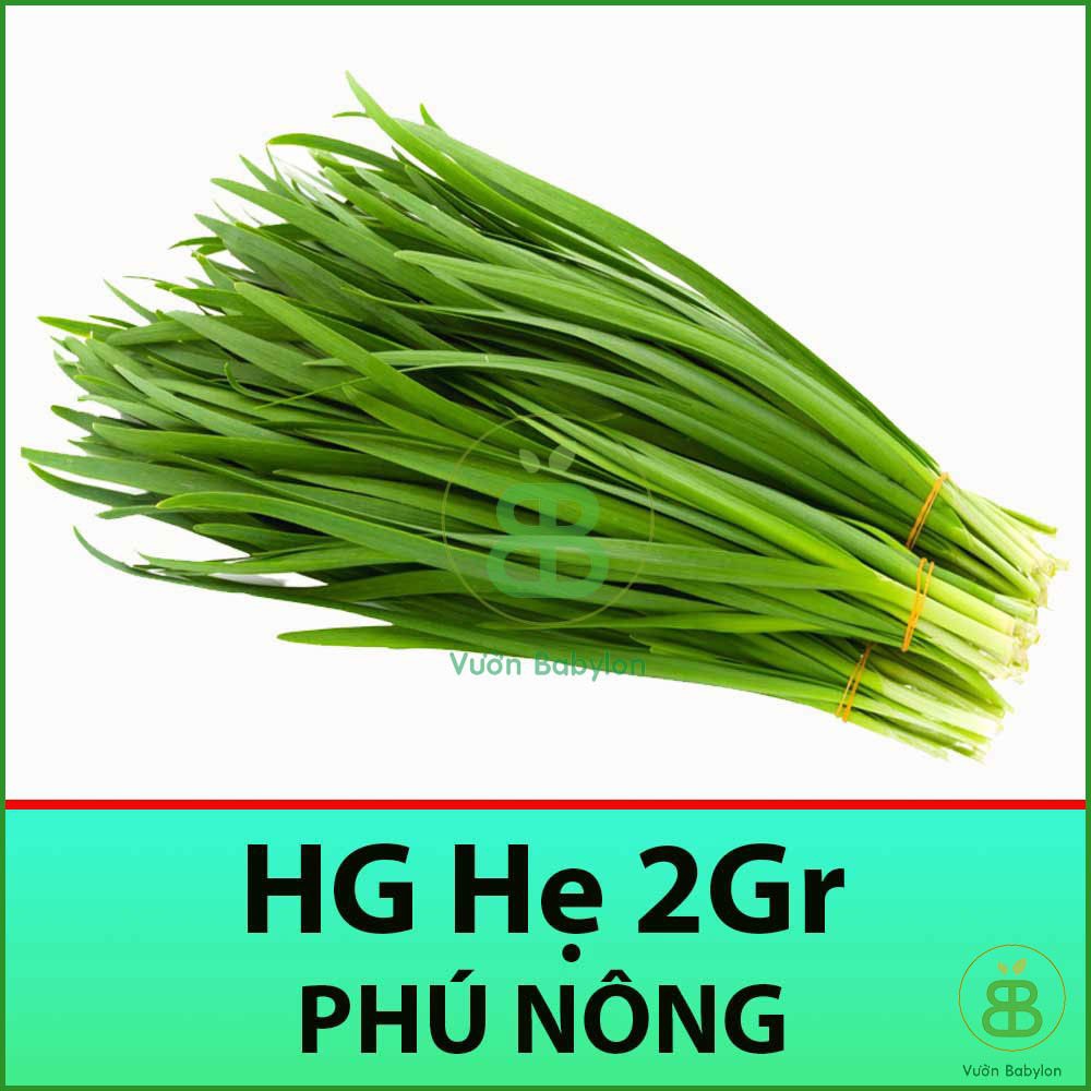 Hạt Giống Hẹ Ta 2Gr Dinh Dưỡng, Năng Suất Cao