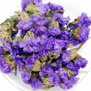 100G TRÀ FORGETMENOT CHỌN LỌC