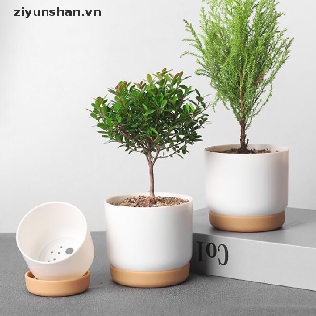 Chậu Trồng Cây Hai Lớp Kích Thước Nhỏ