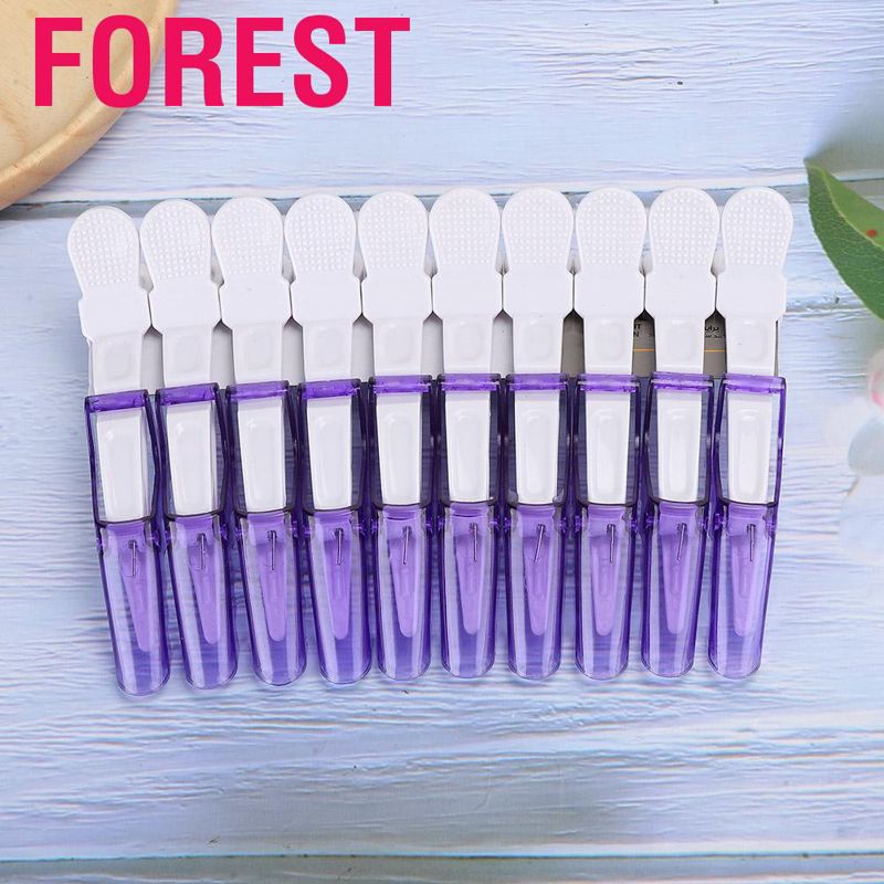 Set 10 kẹp tóc mỏ vịt chuyên dụng dành cho salon