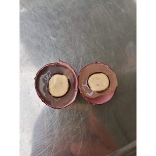 GIỐNG CÂY NHÃN TÍM