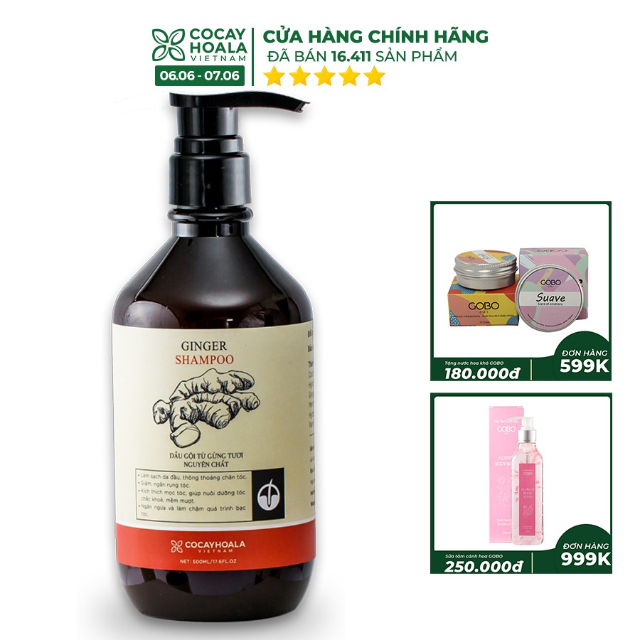 Dầu Gội Gừng Cocayhoala giảm rụng tóc, kích thích tóc mọc hiệu quả dung tích 500ml/chai