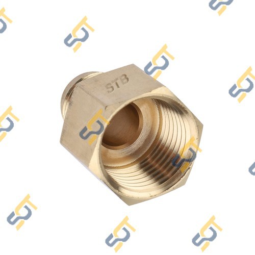 Thẳng ren trong 1/8 (9.6), 1 đầu côn lồi NPT (Brass Flare Fitting Female Connector)