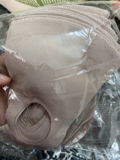 10 cái khẩu trang vải 3D