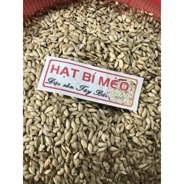 HẠT BÍ MÈO TRẮNG TÚI ZÍP 1KG