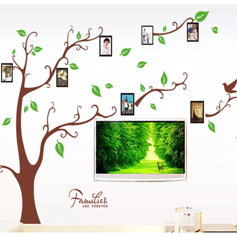 Decal trang trí tường Cây khung hình lá xanh tinh tế