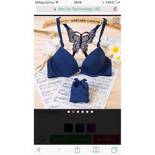 bộ đồ lót cánh bướm