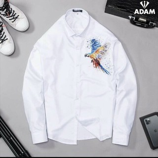 Áo Sơ Mi Nam Cotton Lụa TAHISM019, Áo Sơ Mi Hàn Quốc Họa Tiết 3D Tiết Trên Ngực Trái Dáng Body Dài Tay | BigBuy360 - bigbuy360.vn