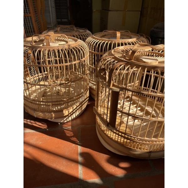 Lông chim cu gáy đủ phụ kiện