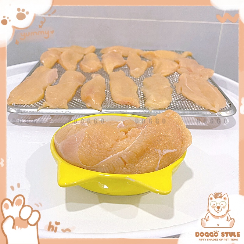 Treat Bánh Thưởng Cho Chó Mèo Phi Lê Gà Sấy Khô DOGGO Homemade Không Chất Bảo Quản 100G / Thức Ăn Cho Chó Thú Cưng