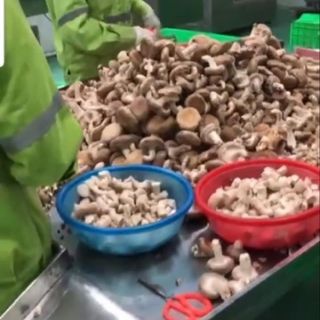 Ruốc Nấm Hương