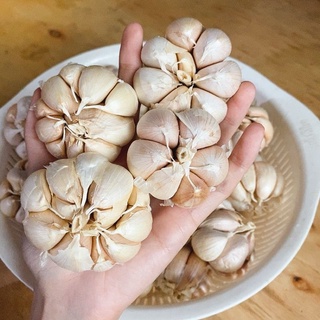 Tỏi khô 100g