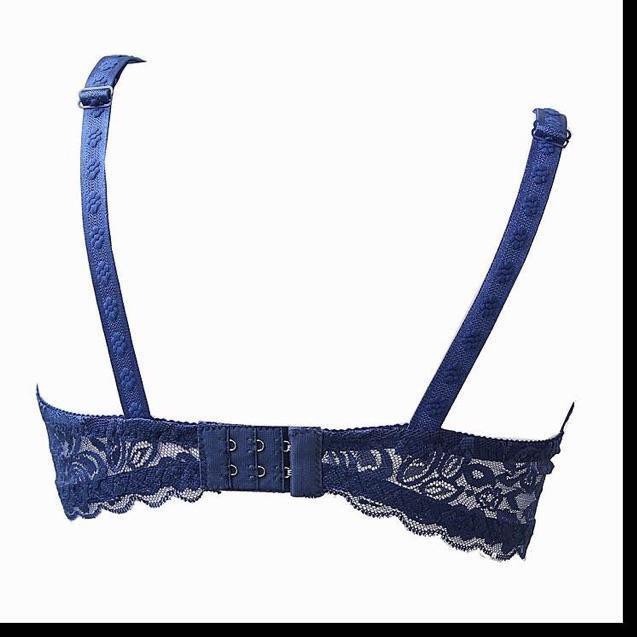 Áo Lót 2004 Ren Không Đệm, Có Gọng Cao Cấp,.