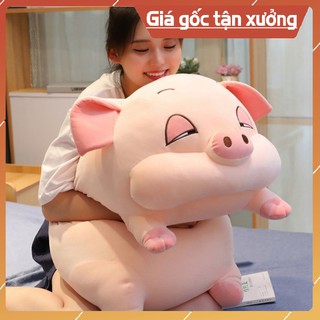 Heo Hồng Mập Mập, heo phê cần siêu CUTE!!!!