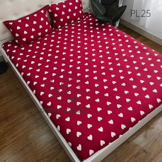 Set ga gối poly