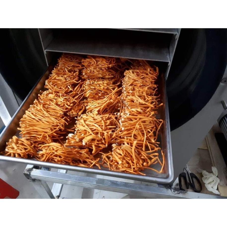 [30g] Nấm Đông trùng hạ thảo Cordypharm Đóng hộp thiếc (Theo đề tài cấp nhà nước)