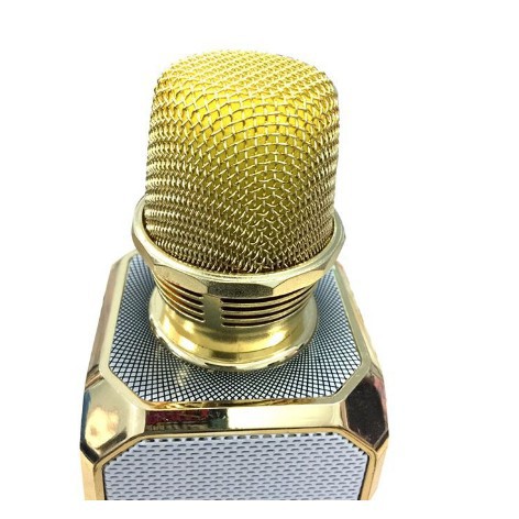 Mic hát Karaoke SD-10 SDRD