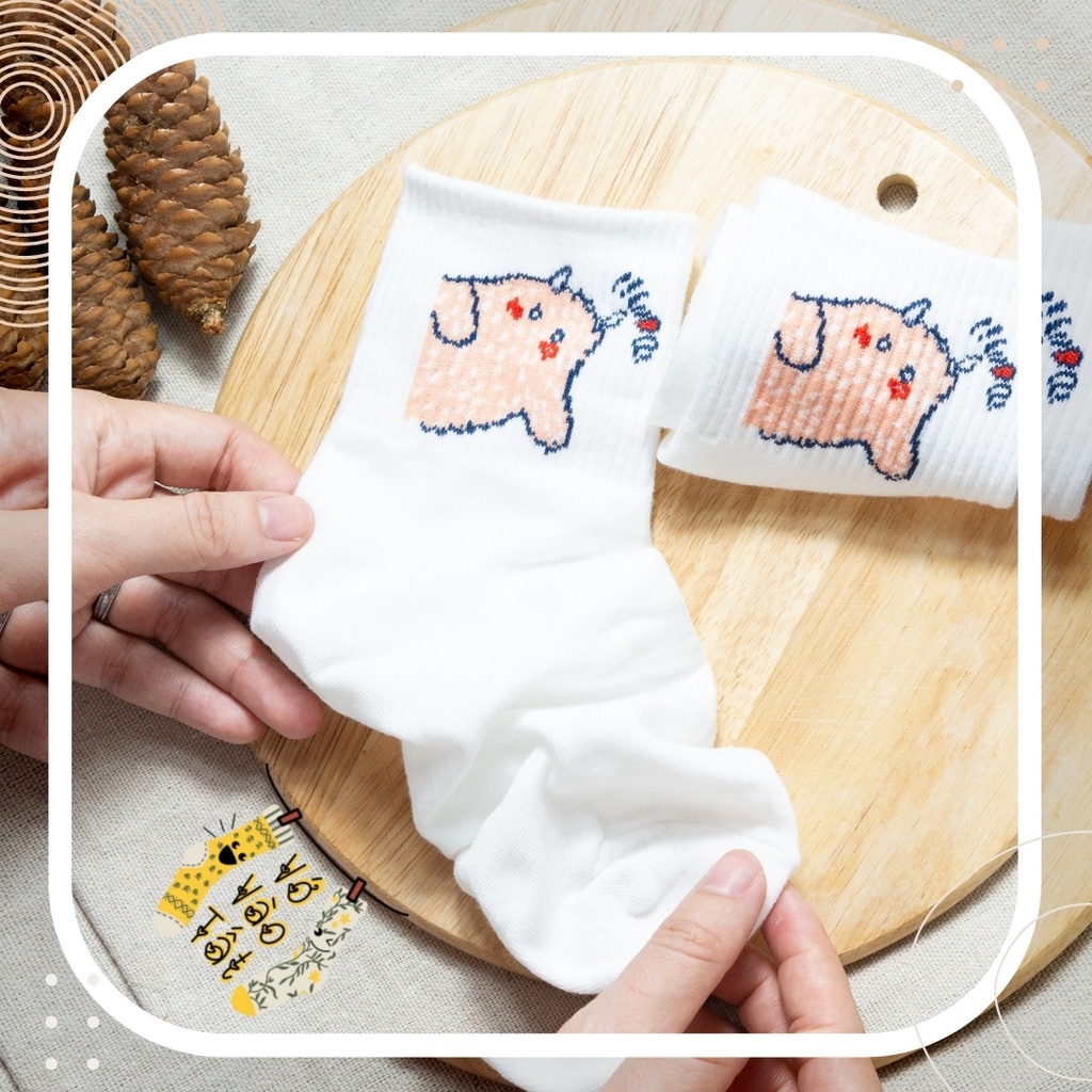 TẤT VỚ TRẮNG CỔ CAO UNISEX HÌNH GẤU HOẠT HÌNH