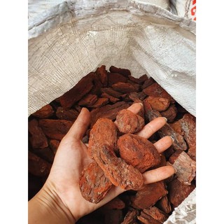 Vỏ Thông Đỏ Mài Cạnh  500gr - Giá Thể Vỏ Thông Vụn Trồng Lan Siêu Tốt