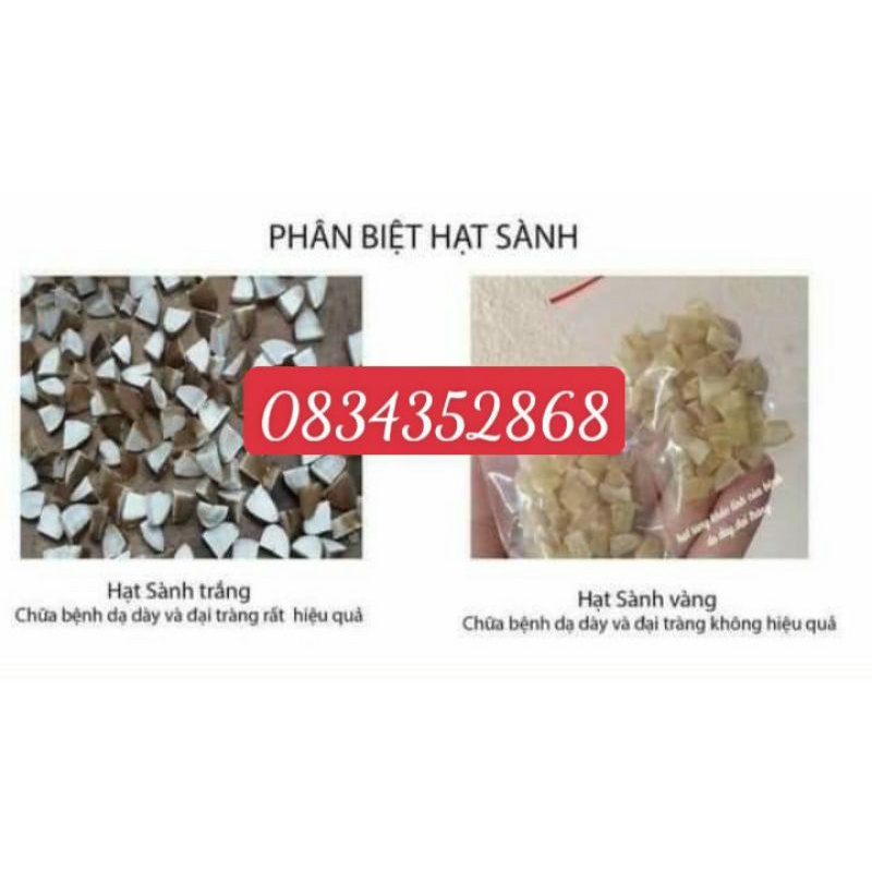 1 LIỆU TRÌNH  HẠT SANG CỦA NGƯỜI MÔNG