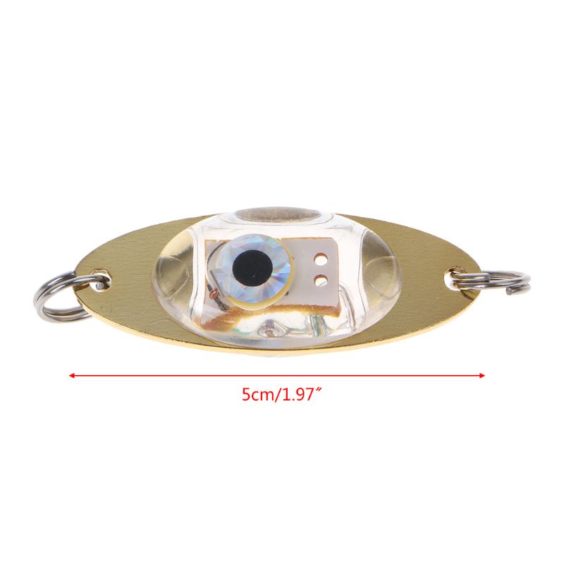 QQ Mồi Câu Cá Giả Hình Con Mực Có Đèn LED Nhấp Nháy