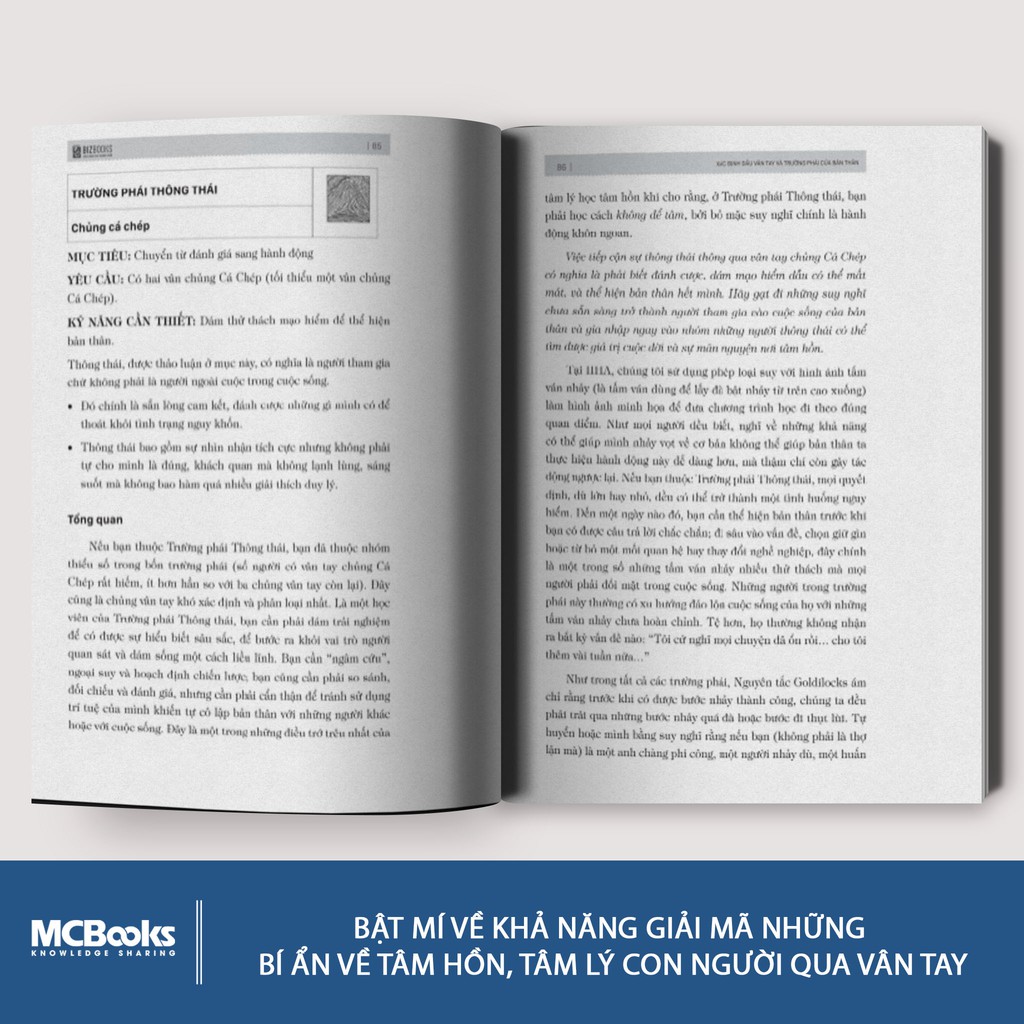 Cuốn sách Sinh Trắc Vân Tay - Giải Mã Mục Đích Cuộc Sống Từ Dấu Vân Tay Của Bạn - BIZBooks | BigBuy360 - bigbuy360.vn