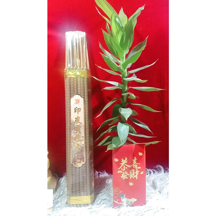 Nhang Đàn Hương 6 Tiếng Cao Cấp Gói 21 Cây