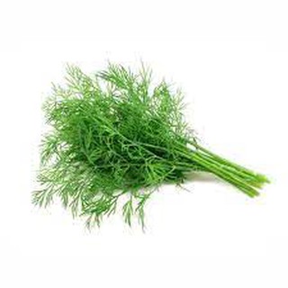 5GR - HẠT GIỐNG RAU THÌ LÀ