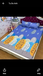 Bộ ga gối chăn poly