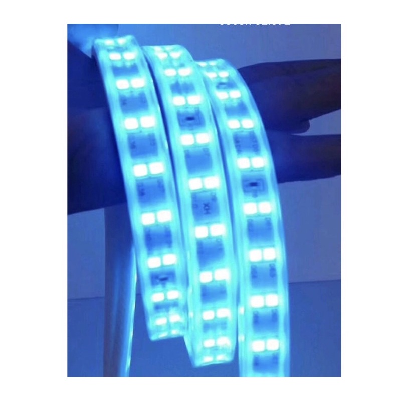 Dây đèn led đôi trang trí, hắt trần chưa kèm nguồn