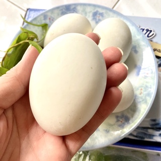 Trứng vịt lộn úp mề con nhỏ tươi ngon kèm rau răm muối tiêu lốp