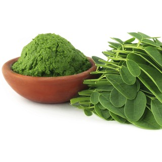 Bột chùm ngây nguyên chất HaPuganic