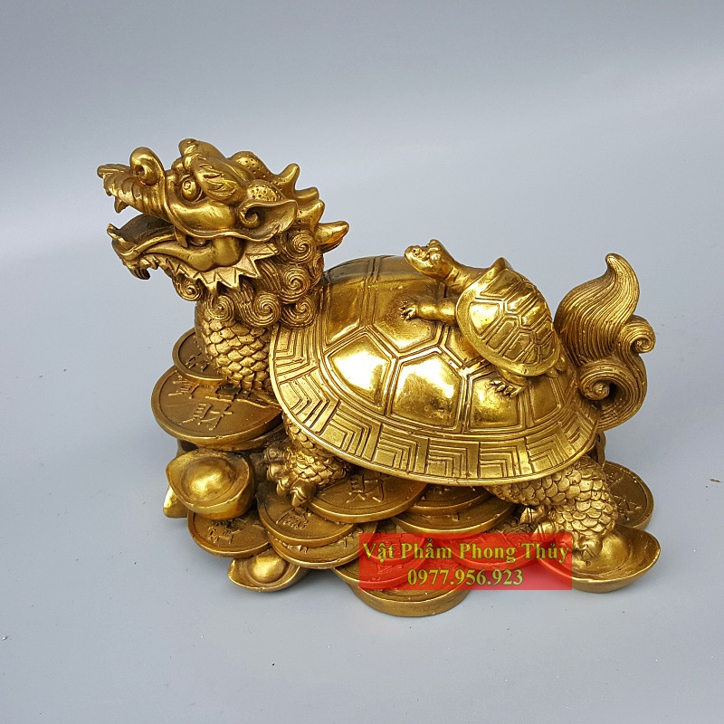 Long Quy cõng con đồng nguyên chất- Rùa Đầu Rồng 11cm