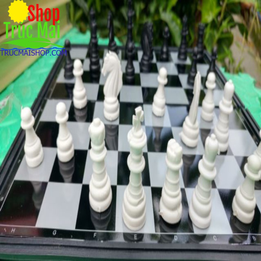 Bộ cờ vua nam châm cao cấp 28cm×28cm