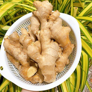 Củ Gừng Tươi 1Kg