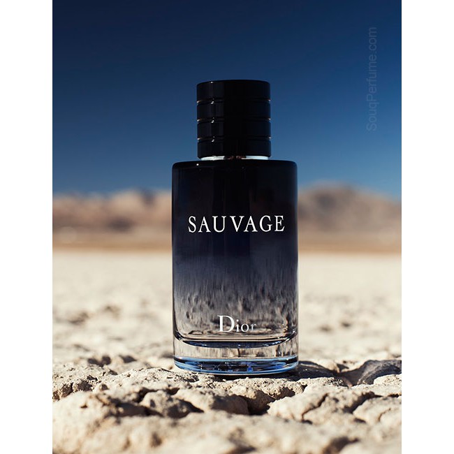 [nắp nam châm] Nước hoa nam Sauvage 100ml hương thơm cuốn hút | BigBuy360 - bigbuy360.vn