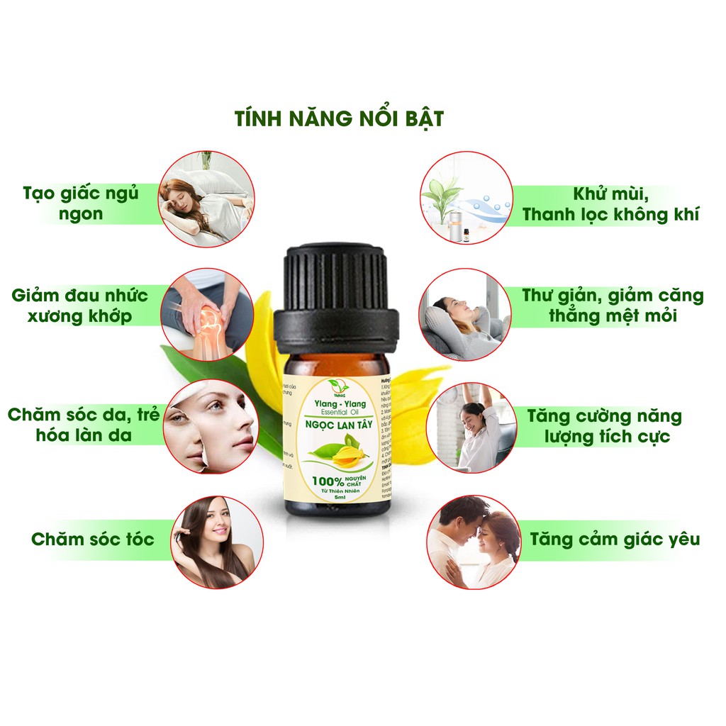 Tinh dầu Ngọc Lan Tây nguyên chất chai 10ml, thơm phòng, khử mùi, thanh lọc không khí.