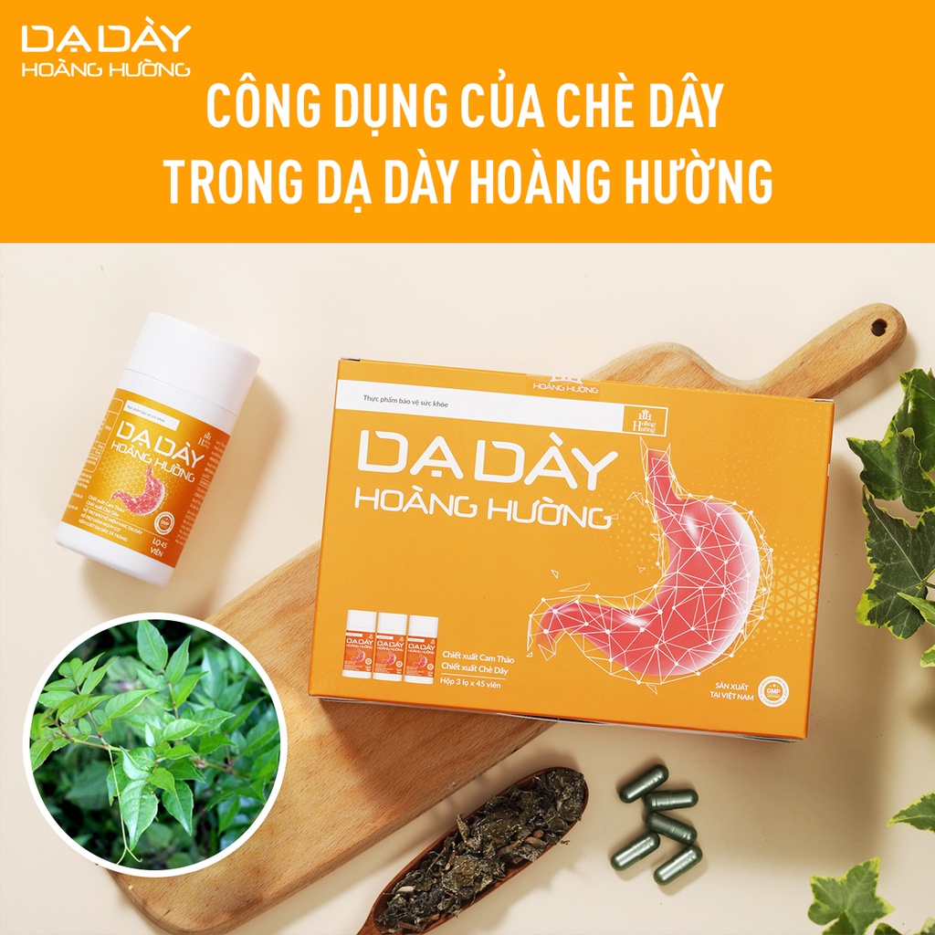 Dạ dày Hoàng Hường – Hỗ trợ cho người viêm loét dạ dày tá tràng giúp giảm vi khuẩn Hp, giảm đau bao tử cấp và mãn tính