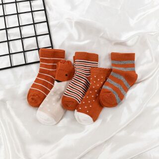 Set 5 đôi tất cho bé 1-12 tuổi