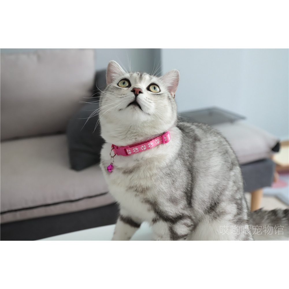 Vòng Đeo Cổ Cho Chó Mèo, Vòng Chuông Đeo Cổ