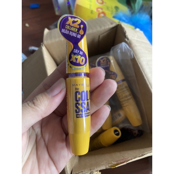 Mascara date 2024