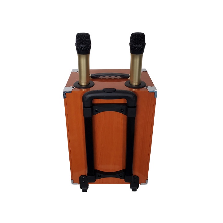 Loa kéo gỗ ONTEKCO 8002 kèm 2 micro không dây chuyên nghiệp, Bass 20 nhỏ gọn công xuất lớn