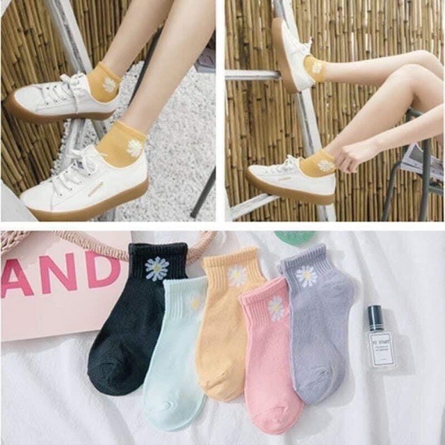 TẤT GẤU NỮ CỔ NGẮN ĐỦ MÀU
